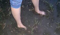 Dirty stuck feet MP4(1280*720)HD