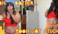 Winnie the Bear STUCKAGE