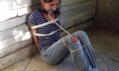 Jamie's Philosophy Notes