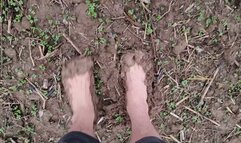Barefoot Mud Walking HD 6th Aug
