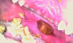 Ugly Chewing - CUSTOM