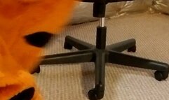 Fang Paws, Socks, and Barefeet