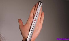 Palming Man Basketball - HD MP4