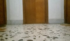 DIRTY FEET: ENTER THE HOUSE OR NOT?