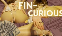 Fin-Curious - Intro to Findom