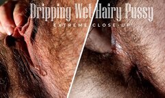 Dripping Wet Hairy Pussy Extreme Close-up