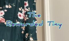 Giantess Discovers Tiny and Gives Task then Rewarded with Feet JOI