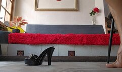 Milah Arches legs and pointed toes with Black Kiara heels