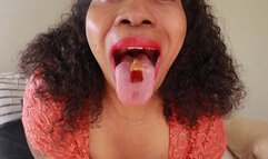 Homewrecking Vore Fetish Play