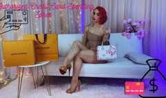 Authorized Credit Card Spending Spree - WMV