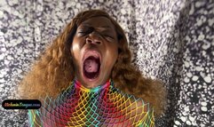 Big Wide Yawns just for you