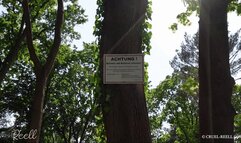 REELL - LOST PLACES LOST MEN - WARUM HAT DENN NIEMAND DIESES PATRIARCHAT ZERBOMBT?