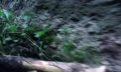 Shy maid Agatha being whipped and caned