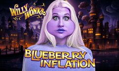 Blueberry inflation 4K