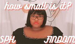 How Small Is It? (SPH Findom)