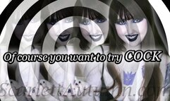 Of course you want to try Cock - MP4 SD 480p