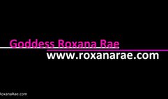 Another Weekend Alone