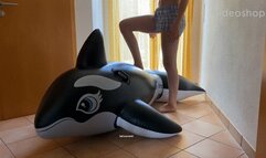 hard orca ride with 2 girls