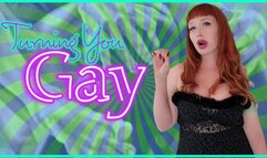 Turning You Gay WMV
