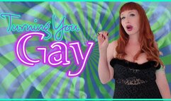 Turning You Gay SD WMV