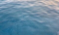 Bella Luxx and Greasy Rose Hold Each Other Underwater