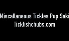 Miscallaneous Tickles Pup Saki