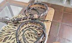 Milah Arches How much do you want to feel my whip