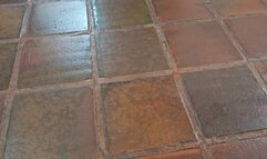 Balbina modeling her pink bikini on black sandals