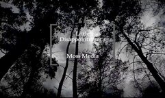 Little Disappointments