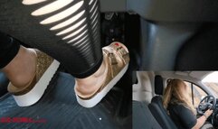 Mila - New car of the roommate - colors of california (view02)