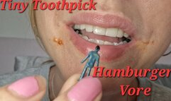 Tiny Toothpick Hamburger Vore