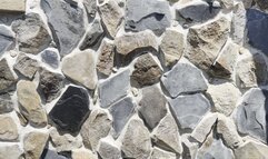 humiliation with a dirty pig in the mud