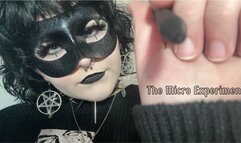 The Micro Experiment