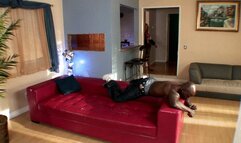 CHEATING WIFE FOR GANGSTA