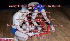 Corey Tickled By Milos On The Bench 4K Cam 2