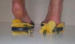 Kats Inshoe Daffodil Crush