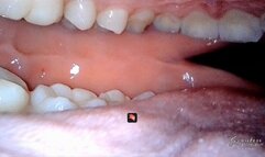 ASMR routine inside my mouth