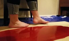 Jade Bunniii Curiously Stuck in Red Glue Trap