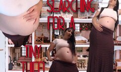 Searching for a Tiny Thief! WMV