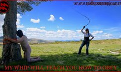 MY WHIP WILL TEACH YOU HOW TO OBEY