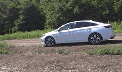 lady with the bad left leg FFc