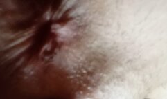 I'll crush you with my ass hole