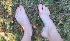 Barefoot Feet In Mud