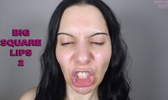 BIG SQUARE LIPS 2 (Video request)