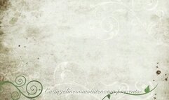 Panyhose Hooters Girl Play