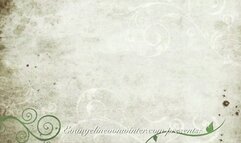 Panyhose Hooters Girl Legs