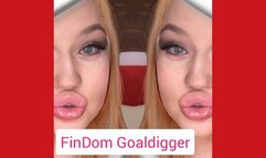 FinDom Goaldigger is your Orgasm!