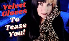 Velvet Gloves To Tease You