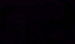 Deeds from the Devotee Dungeon Striped, Spanked, and Pounded (WMV 1080P)