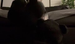 POV Slipper, Foot Worship